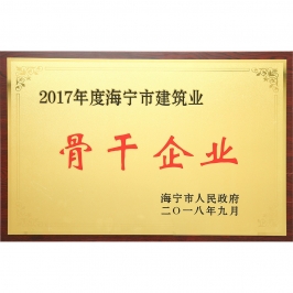 企业荣誉